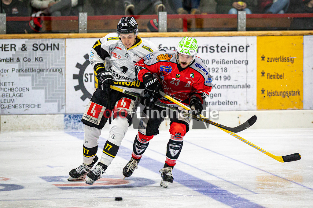 TSV Peißenberg MINERS gegen EA Schongau | Eishockey Bayernliga Herren Vorrunde 2024/25, TSV Peißenberg MINERS gegen EA Schongau, 20241031,Zweikampf zwischen Anton EGLE (MAMMUTS 77) und Dejan VOGL (MINERS 23),2024-10-31 in Peißenberg (Eisstadion Peißenberg)Dejan VOGL (MINERS 23), Anton EGLE (MAMMUTS 77)Copyright: WolfgangxLindner foto-lindner.de