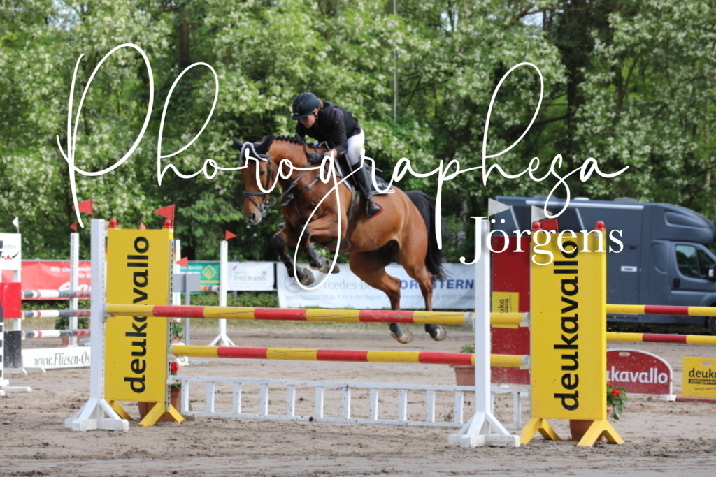 IMG_9040 | photographesa-joergens - Realisiert mit Pictrs.com