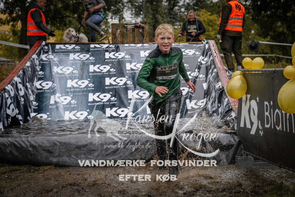 1204_ZZ94277 | kk-dogfotos