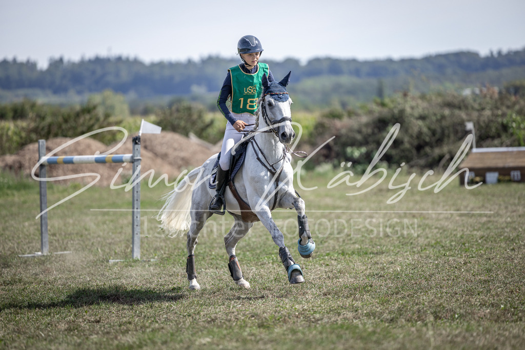 20250907-_3LI1905 | Tierfotografie Pferde, Hunde, Katzen, Haustiere.
Turnierfotografie Reitturniere, Reiten, Springreiten, Dressur in Hanau, dem Main-Kinzig-Kreis und dem Rhein-Main- Gebiet um Frankfurt