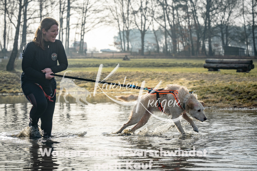 0915_ZZ90564 | kk-dogfotos