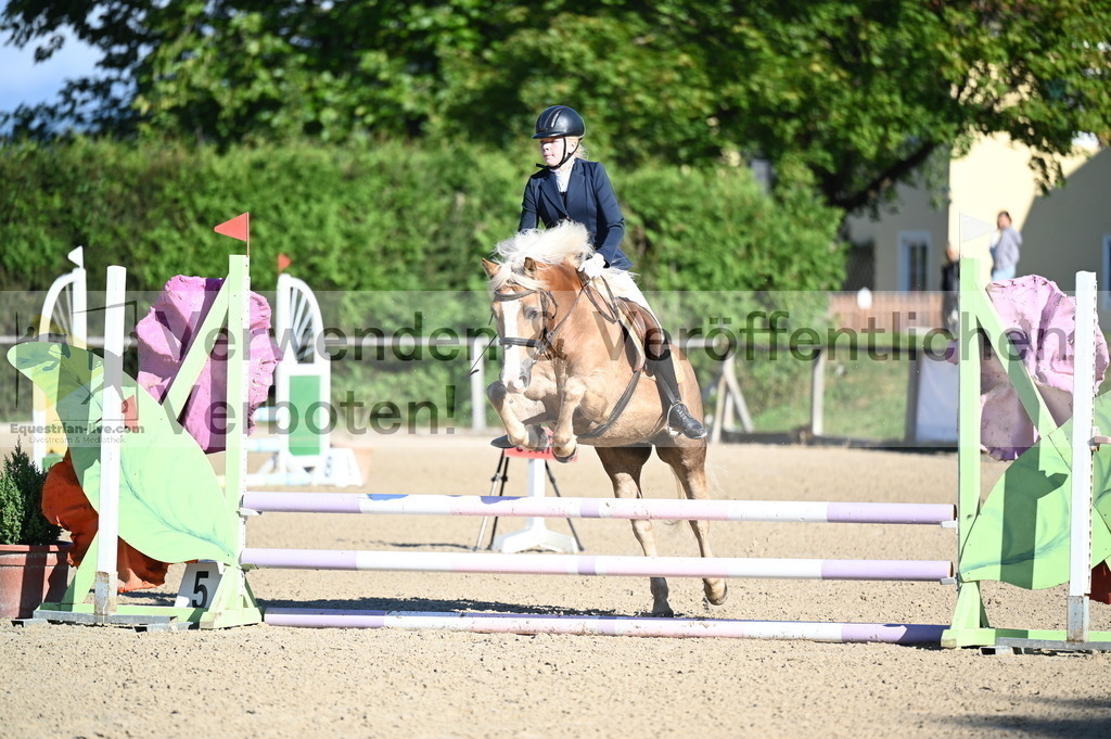 DSC_7822 | equestrian-live-com