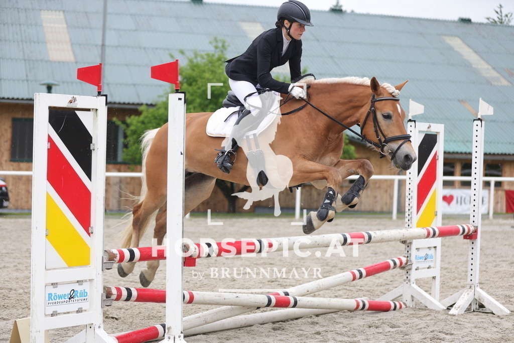 0P6A7966 | Willkommen bei Brunnmayr - Design & Fotografie – Ihrem Spezialisten für Reitturniere und Pferdeveranstaltungen in Oberösterreich, Salzburg und Bayern! Seit über 17 Jahren sind wir leidenschaftlich dabei.