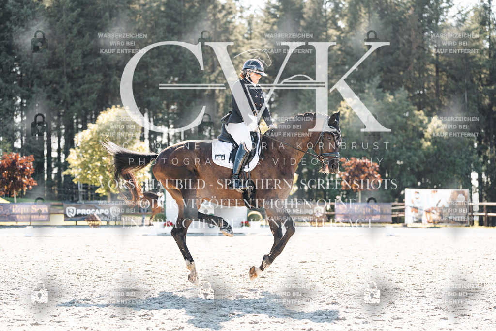 CK906165 | Turnierfotografie Pferdefotografie Trier Rheinland-Pfalz Pferdesport Reitsport Tierfotografie Sportfotografie Pferdevideo Pferdevideografie Equestrianvideography equestrianphotography  - Realisiert mit Pictrs.com