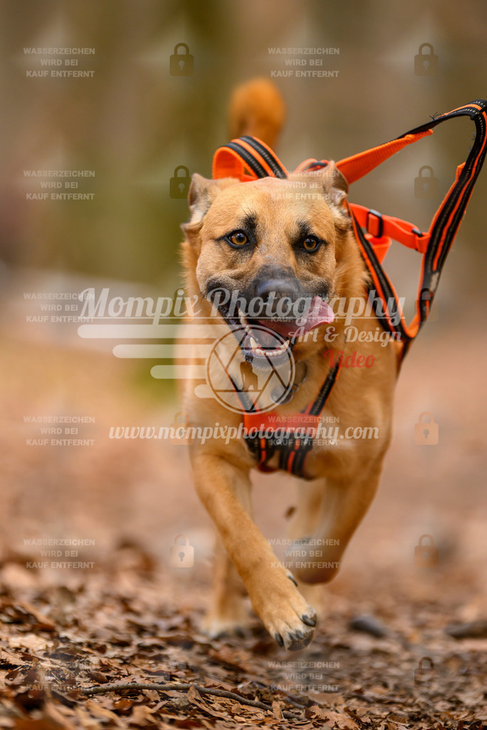 MompixPhotography_Habay2025_SA_CCC-250 | PayLife