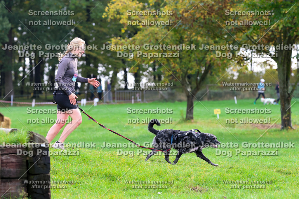 Dog Paparazzi -  SD1026-2139 | Dog Paparazzi Jeanette Grottendiek Fotografie & Videografie - Realisiert mit Pictrs.com