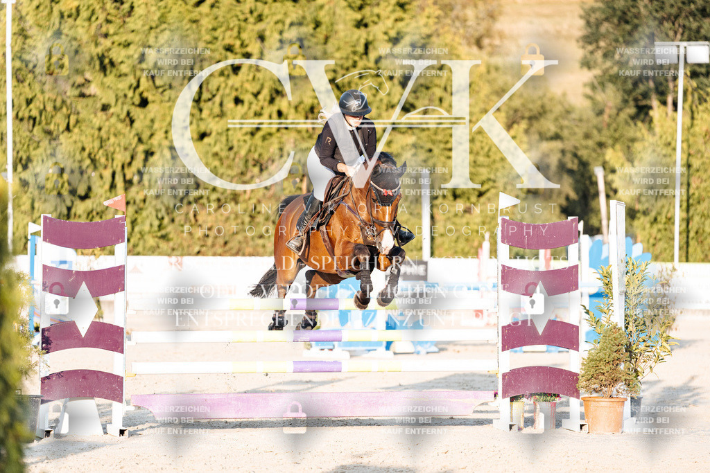 CK901011 | Turnierfotografie Pferdefotografie Trier Rheinland-Pfalz Pferdesport Reitsport Tierfotografie Sportfotografie Pferdevideo Pferdevideografie Equestrianvideography equestrianphotography  - Realisiert mit Pictrs.com