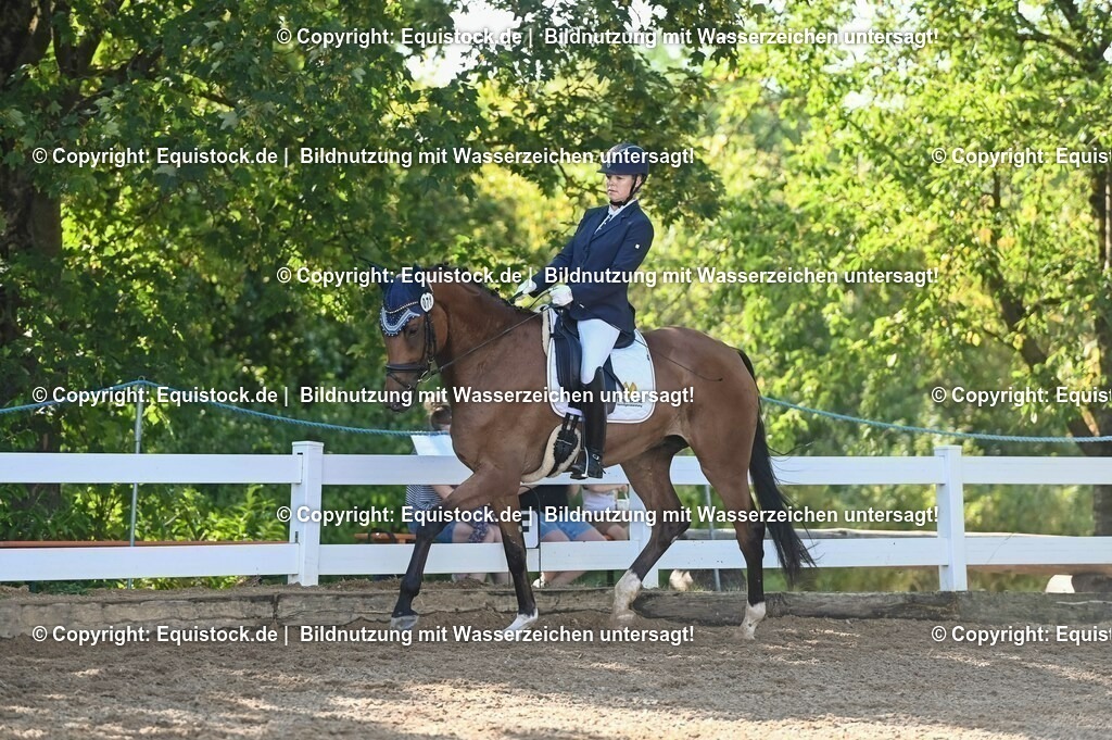20230715_06_Dressurpferdeprfg. Kl.A_0212 | equistock