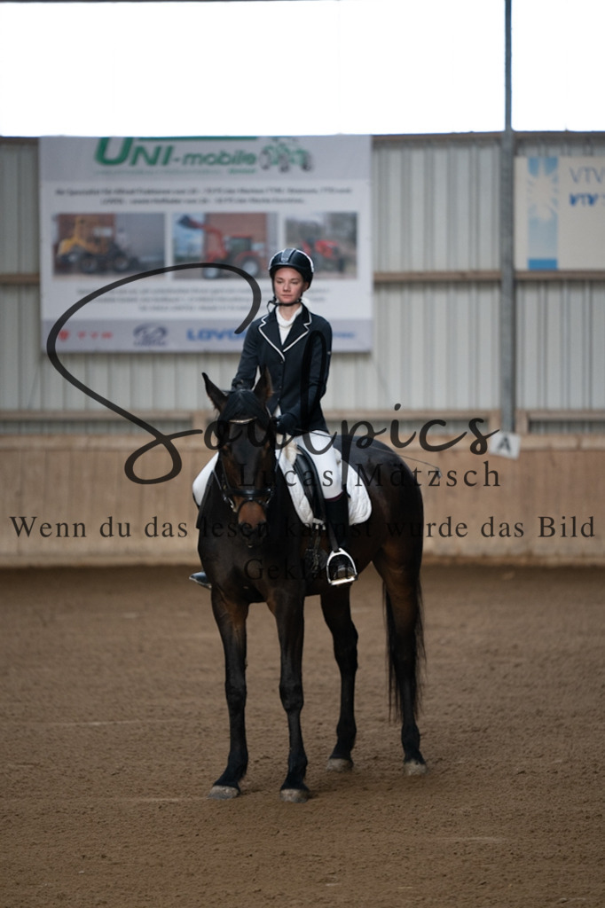 A7V05104 | Pferdefotograf