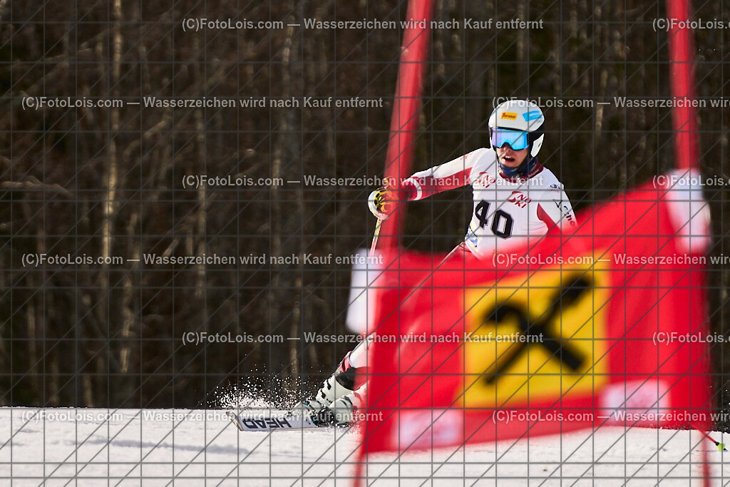 ALP8480_Herrn-FIS-GS-II_Lackenhof-WY_PITZER Willi | Internationaler FIS GiantSlalom der Herrn auf der Distelpiste in Lackenhof am Di 11. März 2025.  Österreich, LSV-NÖ, Sportunion Waidhofen/Ybbs (2035).