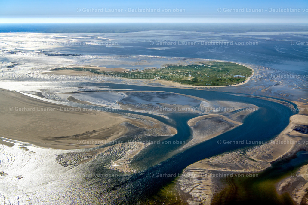 3801461 | Vogelschutzgebiet Memmert, Nationalpark Niedersächsisches Wattenmeer