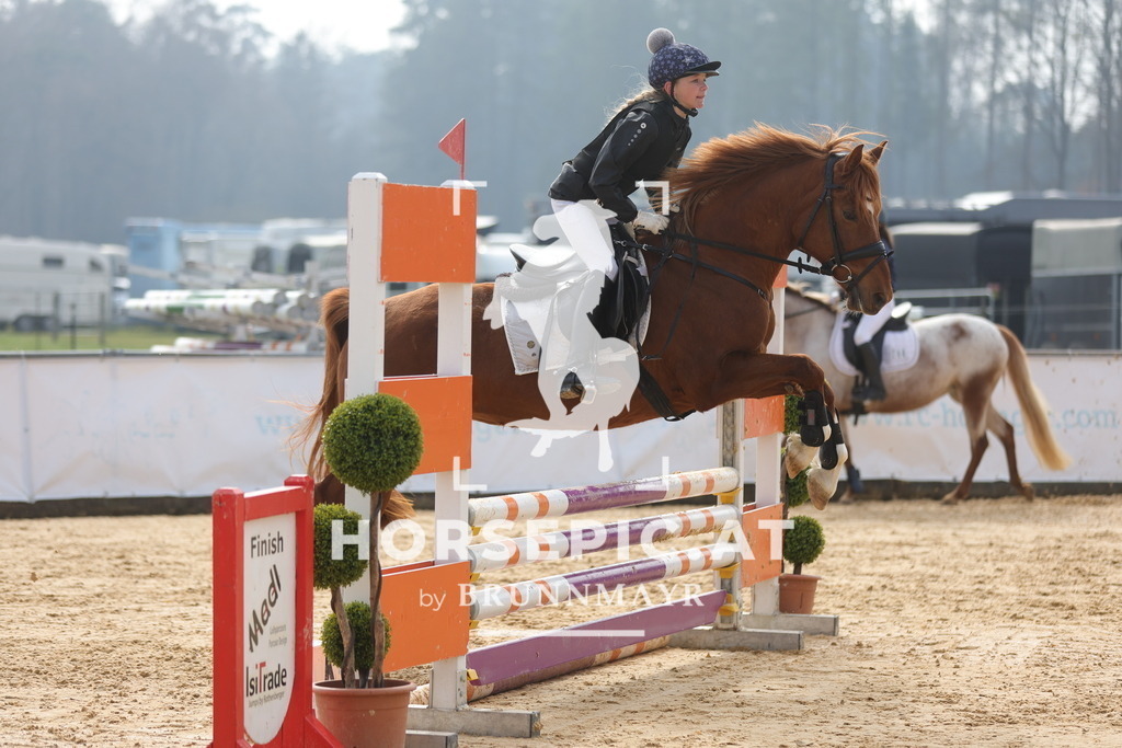 0P6A9233 | Willkommen bei Brunnmayr - Design & Fotografie – Ihrem Spezialisten für Reitturniere und Pferdeveranstaltungen in Oberösterreich, Salzburg und Bayern! Seit über 17 Jahren sind wir leidenschaftlich dabei.