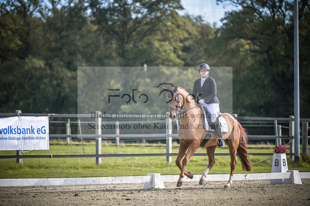 DOS_1274 | Entdecke hochwertige Reitturnierfotos von Foto Oger. Professionell, emotional und authentisch – jetzt Lieblingsmomente im Shop bestellen.Deutschlandweite Turnierfotografie. - Realisiert mit Pictrs.com