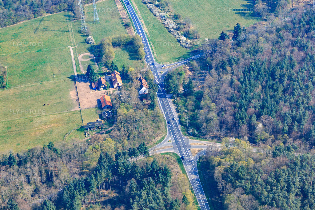 Luftbild: Ehemaliges Forsthaus im Bienwald: Langenberg in Wörth am Rhein im Bundesland Rheinland-Pfalz in Deutschland. Foto: IMG_63835.jpg vom 30.03.2014 durch Werner Riehm/FLY-FOTO.de