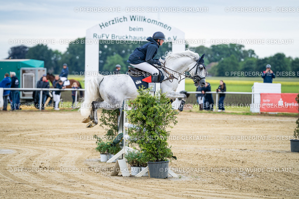 DSC04381 | Pferdegrafie