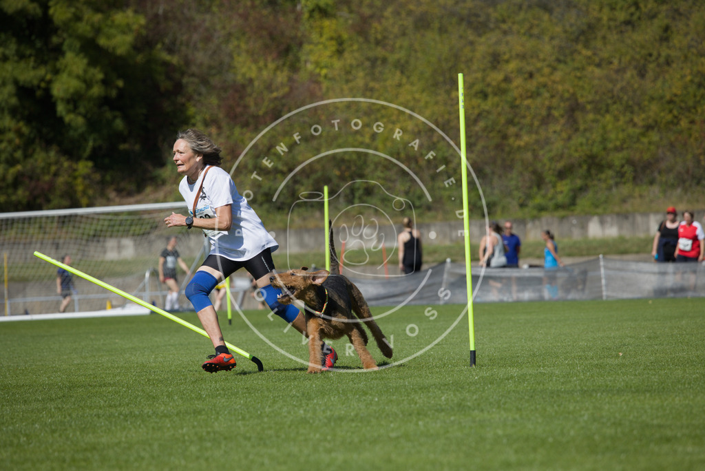 0L8A6491 | Hundefotografie, Tierfotograf, Pfotenfotografie, Fotoshooting Hund, Hunde Portrait, Hundesport, Hundeportraits, Heideshooting, Hunde, Sportfotograf, Hundefotograf, Turnierhundsport, THS,  - Realisiert mit Pictrs.com