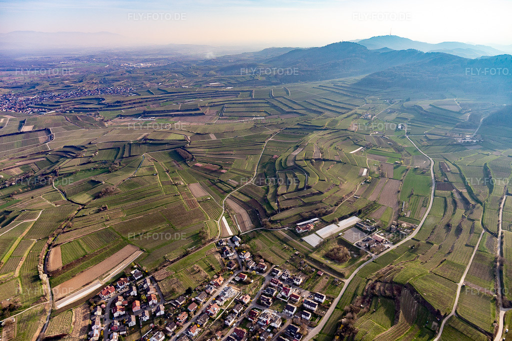 Luftbild: Weinbergs- Landschaft der Winzer- Gebiete in Bahlingen im Kaiserstuhl in Bahlingen am Kaiserstuhl im Bundesland Baden-Württemberg in Deutschland. Foto: IMG_113124.jpg vom 22.03.2019 durch Werner Riehm/FLY-FOTO.de