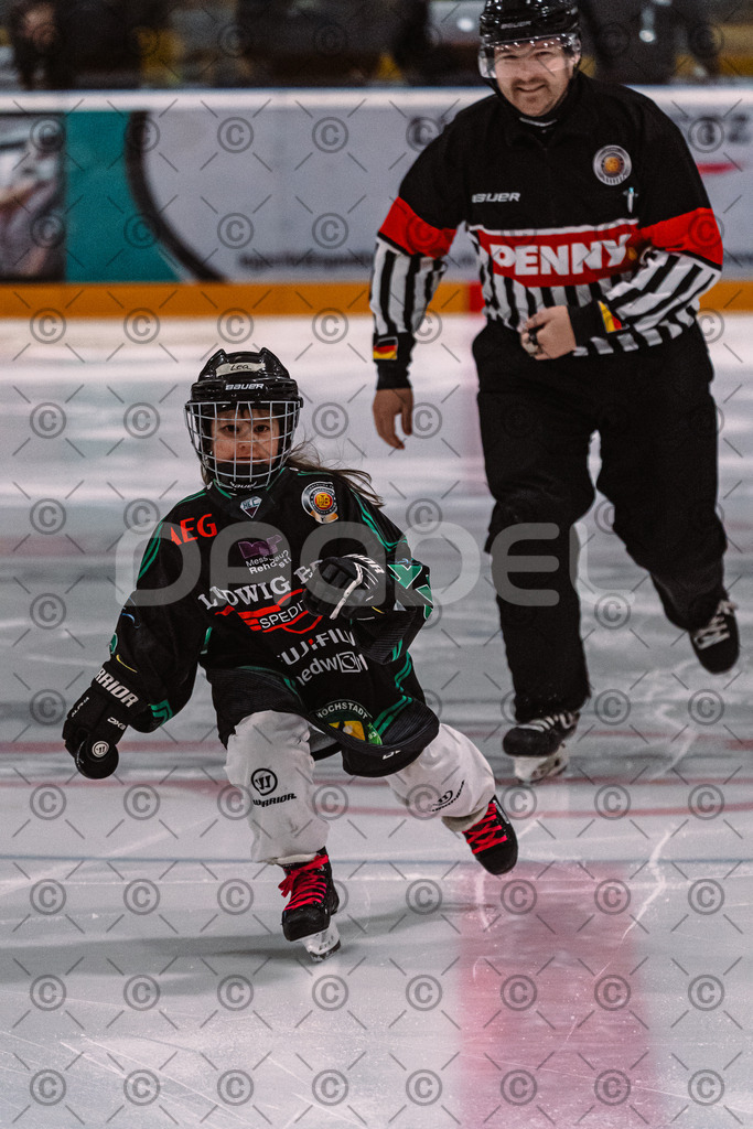Alligators_vs_Passau_26_12_2025-014 | Höchstadt Alligators Fotogalerie: Eishockey-Action aus Franken. Professionelle Spielfotos, Portraits & Stadionbilder zum Download. Jetzt entdecken! - Realized with Pictrs.com