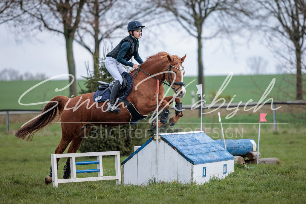 20260329-_3LI4542 | Tierfotografie Pferde, Hunde, Katzen, Haustiere.
Turnierfotografie Reitturniere, Reiten, Springreiten, Dressur in Hanau, dem Main-Kinzig-Kreis und dem Rhein-Main- Gebiet um Frankfurt
