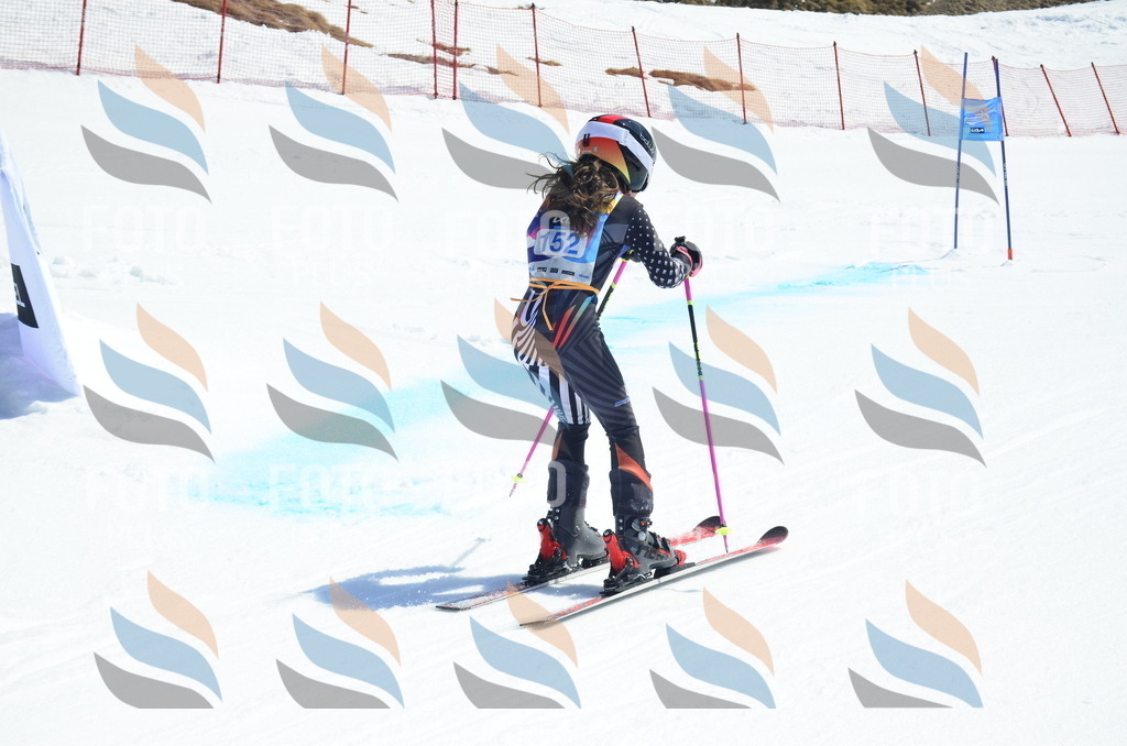 _ELE1016 | holidayphoto