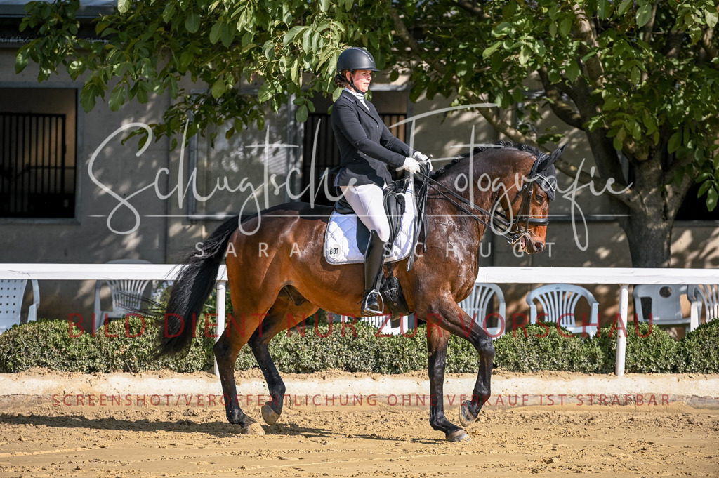 Schugtsche-Aluta25-52.Dressurprf.M2Kand-255 | Schugtsche Fotografie - Realisiert mit Pictrs.com