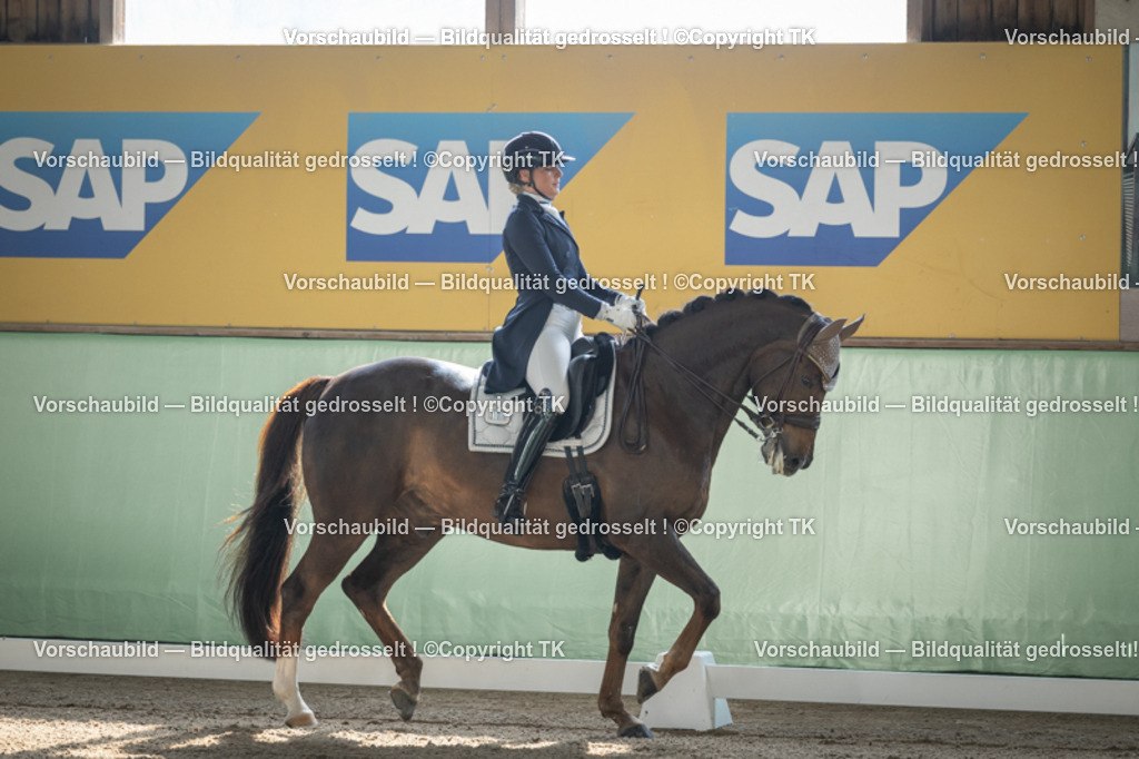 _D5A9167 | Emotionale Pferde- & People-Fotografie rund um Heidelberg, Leimen & Umgebung. Natürliche Fotos von Pferd, Mensch & Familie. Jetzt Termin sichern!