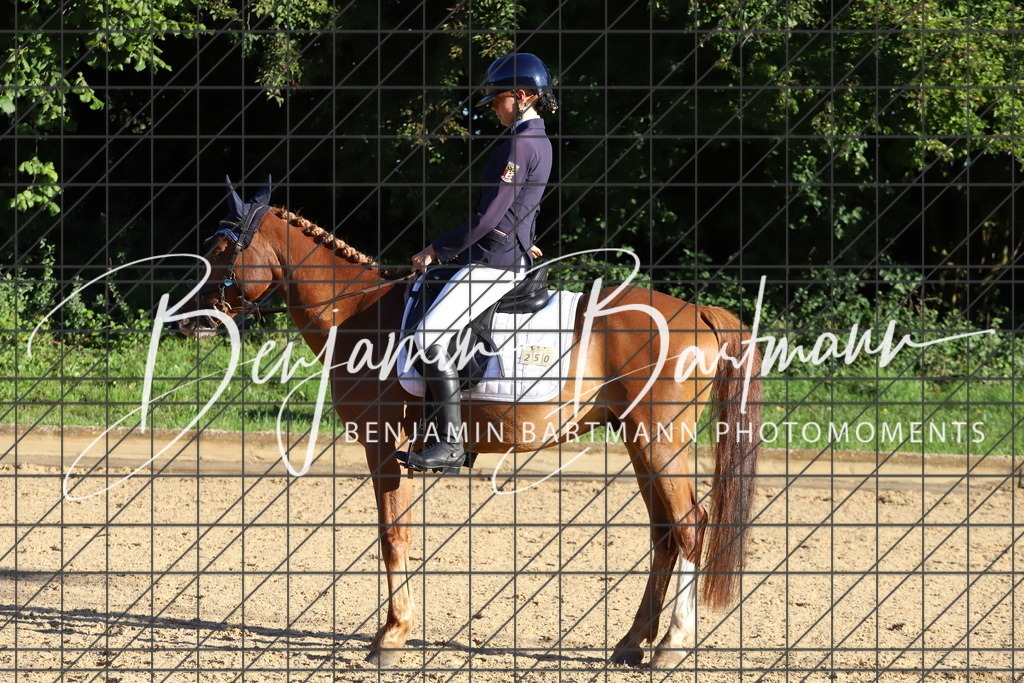 IMG_4632 | Benjamin Bartmann Photomoments