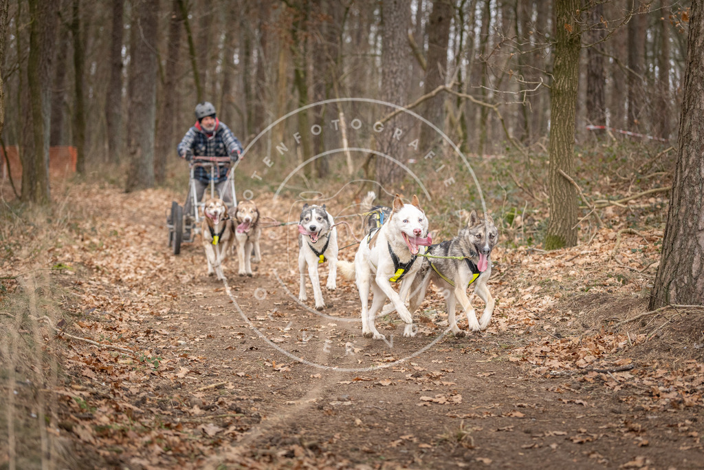 Pfotenfotografie_DV3A6513 | Hundefotografie, Tierfotograf, Pfotenfotografie, Fotoshooting Hund, Hunde Portrait, Hundesport, Hundeportraits, Heideshooting, Hunde, Sportfotograf, Hundefotograf, Turnierhundsport, THS,  - Realisiert mit Pictrs.com