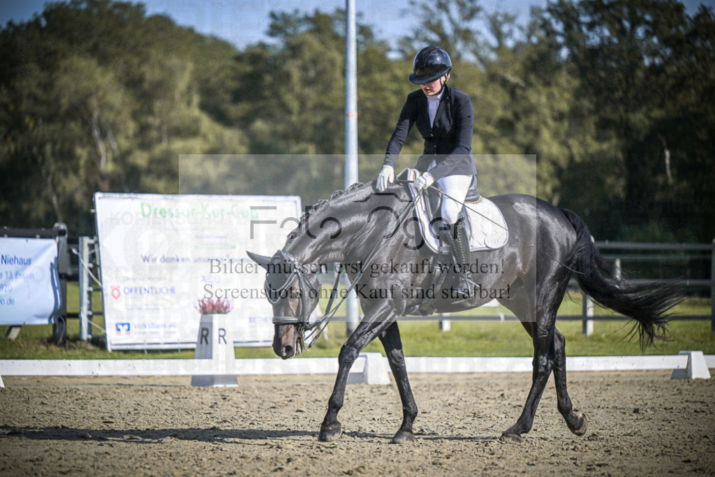 DOS_1738 | Entdecke hochwertige Reitturnierfotos von Foto Oger. Professionell, emotional und authentisch – jetzt Lieblingsmomente im Shop bestellen.Deutschlandweite Turnierfotografie. - Realisiert mit Pictrs.com