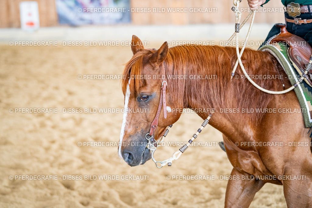 DSC03779 | Pferdegrafie