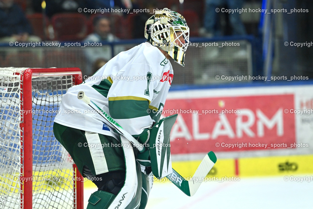 EC IDM WÄRMEPUMPEN VSV vs. FTC-TELEKOM JÉGKORONG | #1 Bence Balizs FTC-Telekom, EC IDM WÄRMEPUMPEN VSV vs. FTC-TELEKOM JÉGKORONG, EC IDM WÄRMEPUMPEN VSV vs. FTC-TELEKOM JÉGKORONG am 19.10.2025 in Villach (Stadthalle Villach), Austria, (Photo by Bernd Stefan)