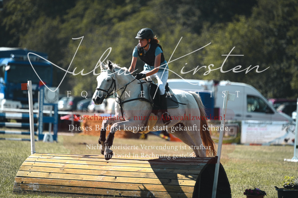 DSC_7952 | Pferde- und Turnierfotografie in Westsachsen. Pferdeportraits, Auftragszeichnungen und intuitive Kunst.