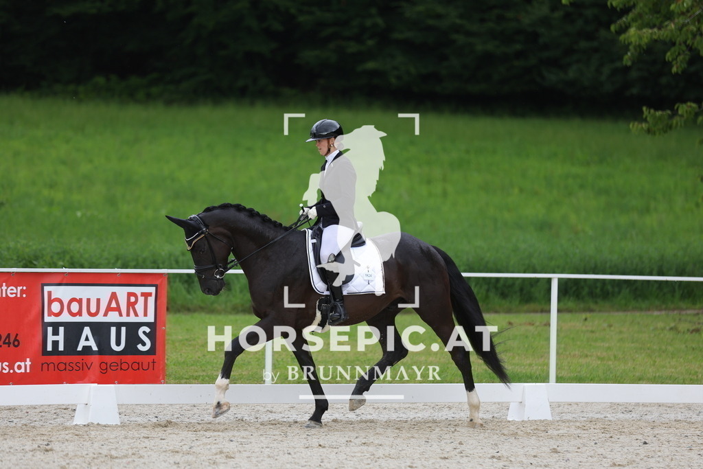 0P6A8644 | Willkommen bei Brunnmayr - Design & Fotografie – Ihrem Spezialisten für Reitturniere und Pferdeveranstaltungen in Oberösterreich, Salzburg und Bayern! Seit über 17 Jahren sind wir leidenschaftlich dabei.