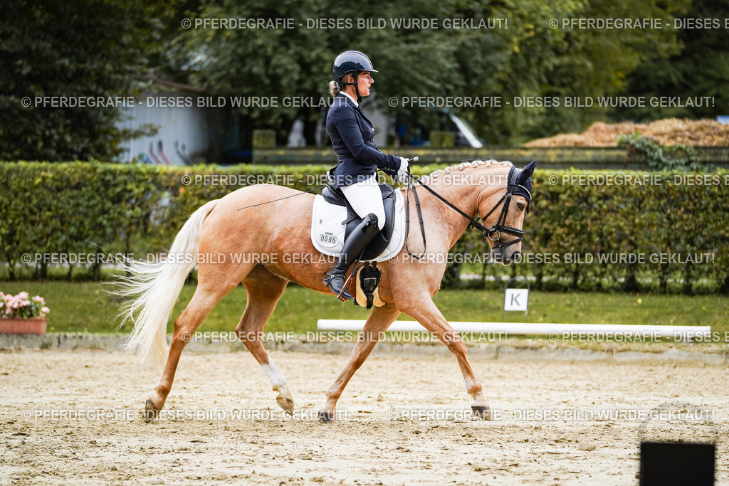 DSC08968 | Pferdegrafie