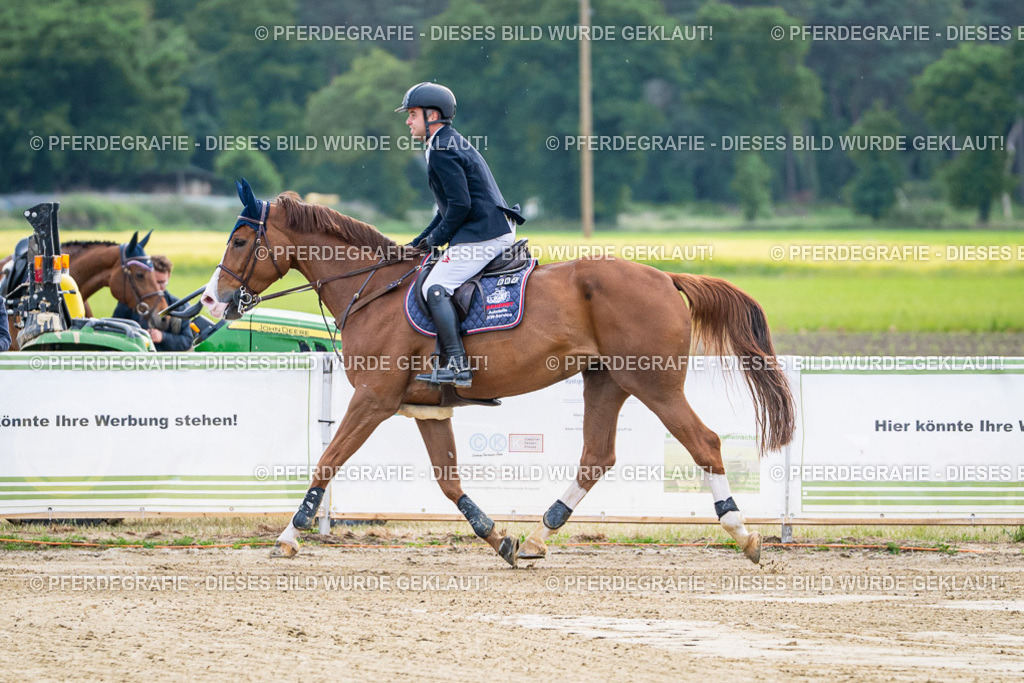 DSC07348 | Pferdegrafie