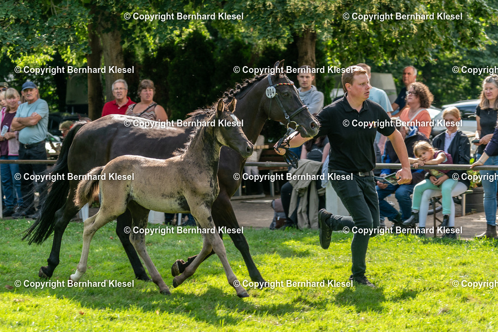 A9S02581 | foto-team-bernhard - Realisiert mit Pictrs.com