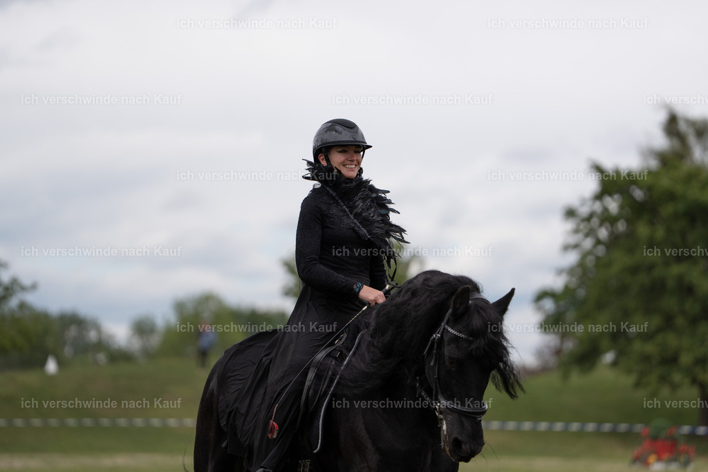 PI26_show_Jan_Picutures7C_06443.jpg | working equitationturnier fotograf videograf stoibphotography marixx film working equitation deutschland reitsport turnierfotografie eventfotografie equestrian events