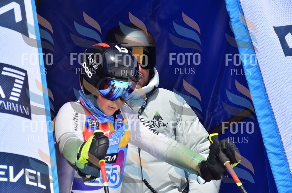 _ELE1879 | holidayphoto