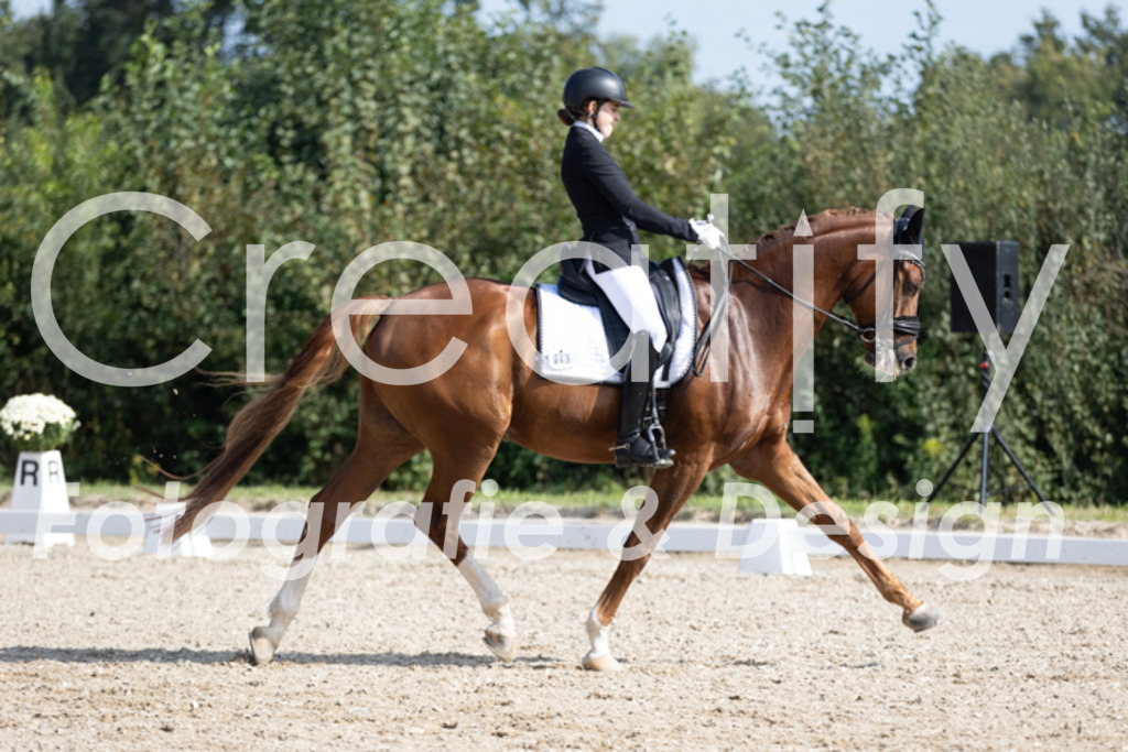 IMG_3146 | Creatify Fotografie