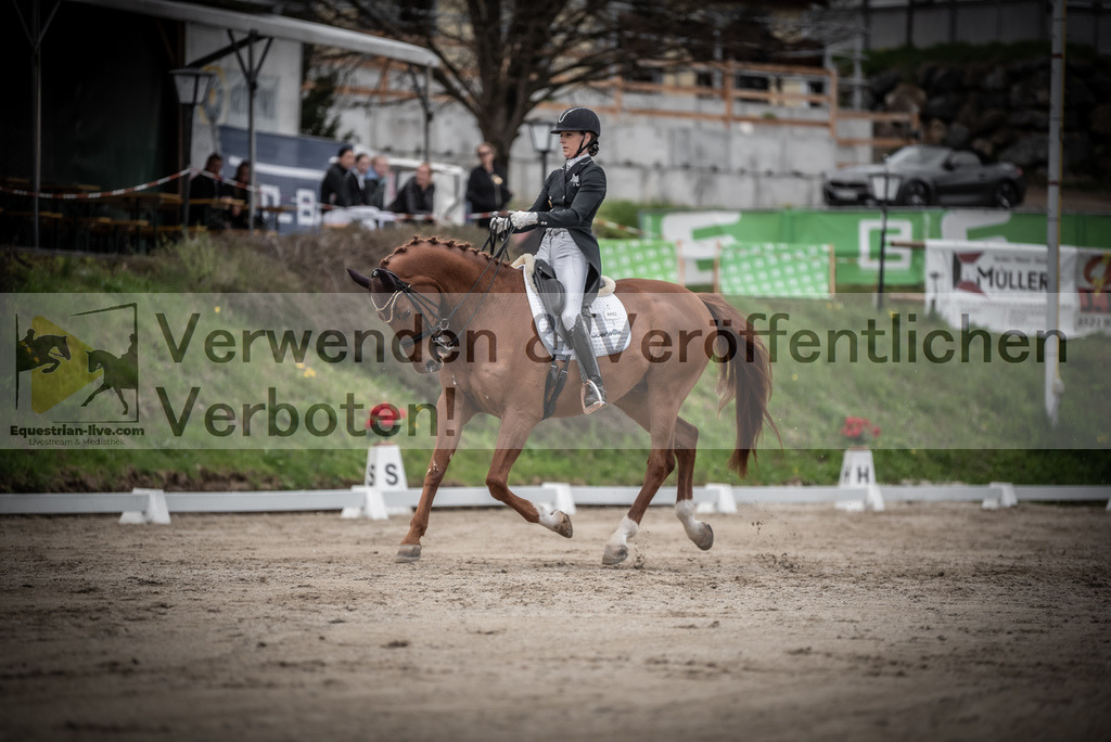 DSC_3047 | equestrian-live-com