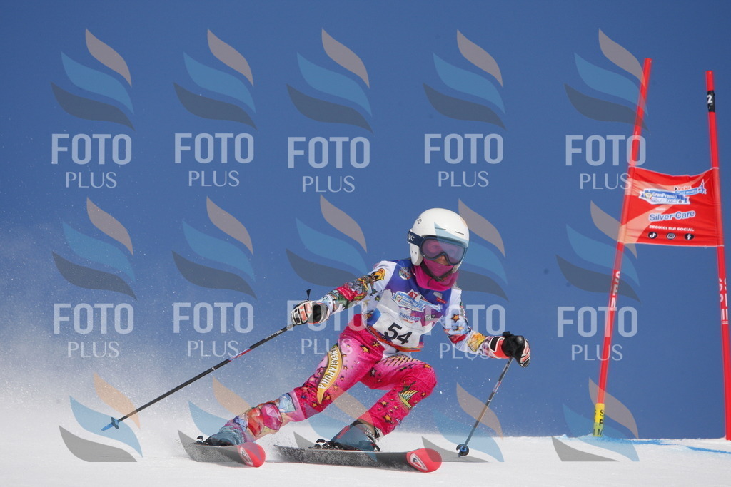 _W1G0802 | holidayphoto