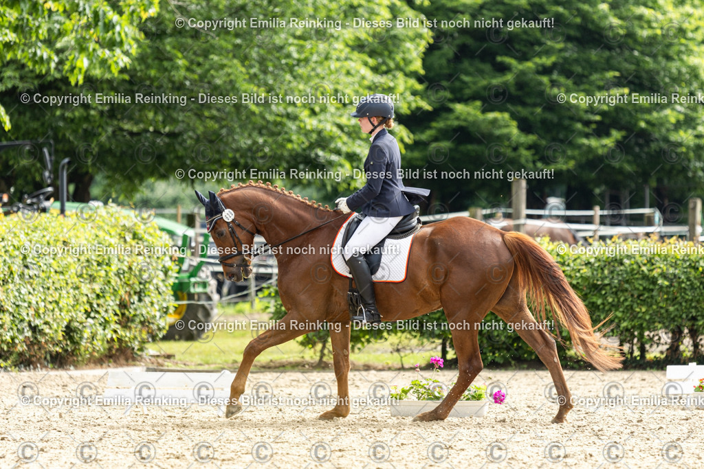 CL5A5703 | Emilia Reinking Fotografie - Realisiert mit Pictrs.com