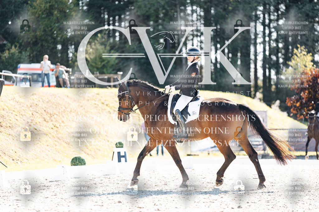 CK905660 | Turnierfotografie Pferdefotografie Trier Rheinland-Pfalz Pferdesport Reitsport Tierfotografie Sportfotografie Pferdevideo Pferdevideografie Equestrianvideography equestrianphotography  - Realisiert mit Pictrs.com
