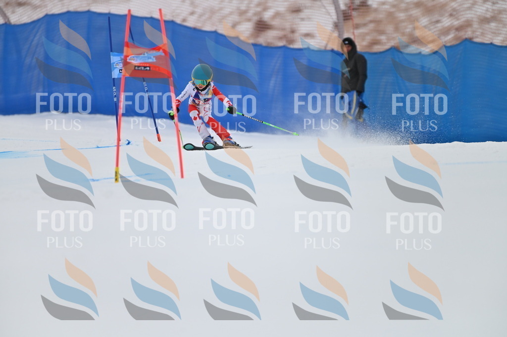 BGV_1059 | holidayphoto