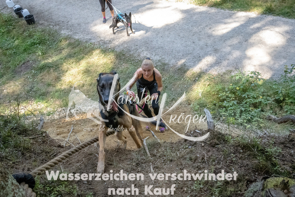 1219_ZZ93964 | kk-dogfotos