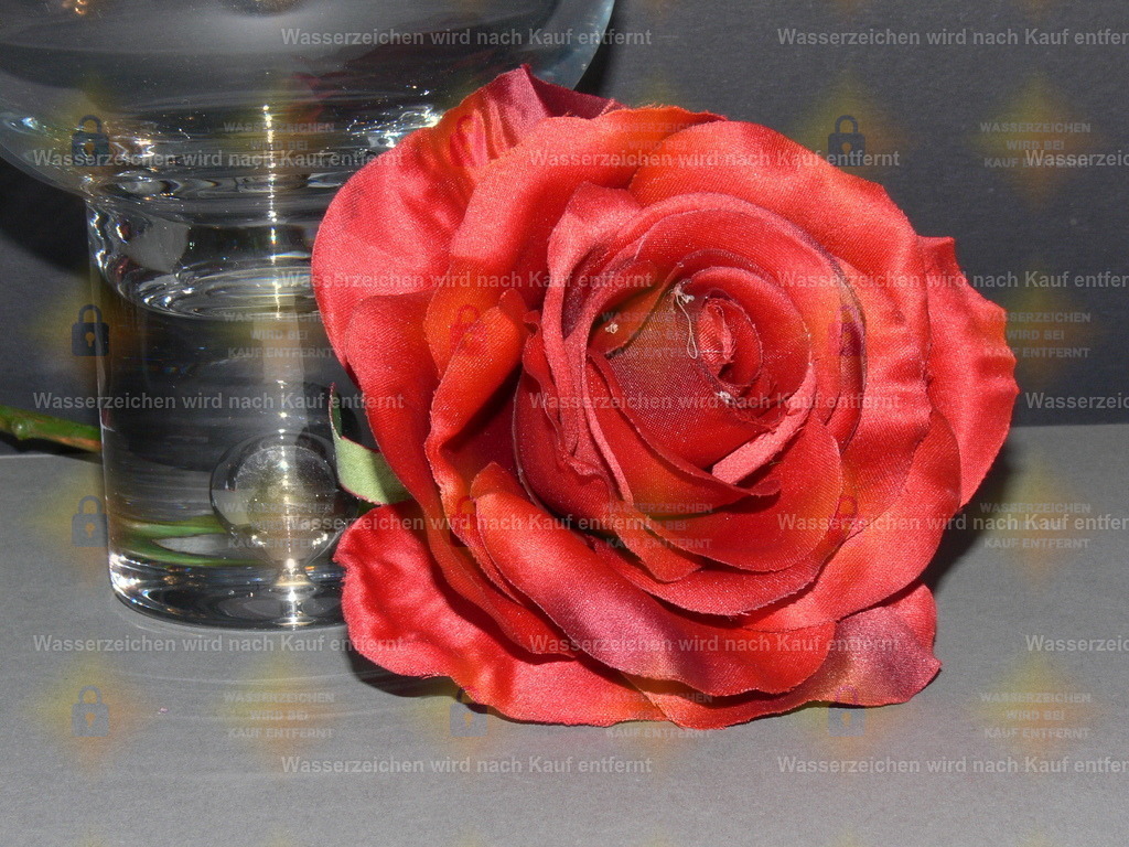 P1010063 | Fotoseite Wolkenblende - Das Hobby fotografieren begleitet mich schon  viele  Jahre. Auf den nächsten Seiten zeige ich ein paar Schnappschüsse der letzten Jahre und es kommen immer neue hinzu. Schau einfach mal rein. - Realisiert mit Pictrs.com