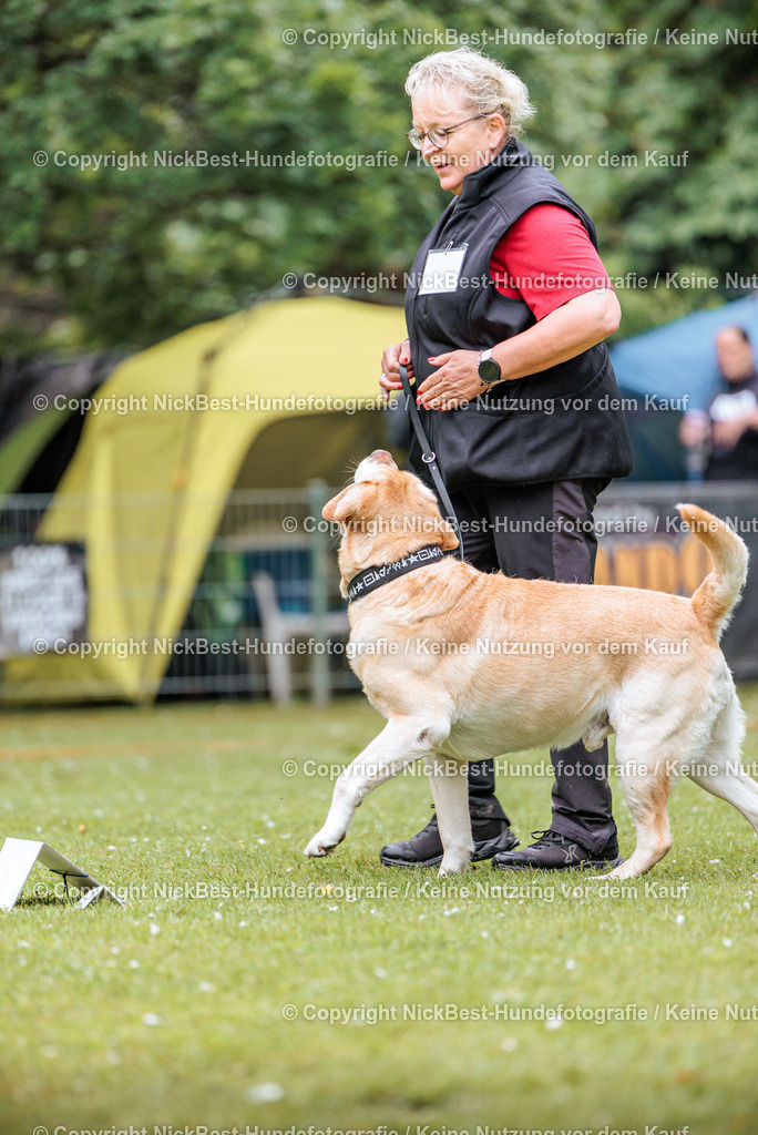 RO-Blumenthal-2026-Nickbest-Hundefotografie-0739 | Dein Hund! Dein Moment! Deine Erinnerungen! Hundefotografie in Bremen Blumenthal. Ich fange die besonderen Momente deines Vierbeiners ein – ob Indoor mit Blitzanlage oder in der freien Natur. Sicher dir dein Moment und dein Termin für eure Erinnerungen.