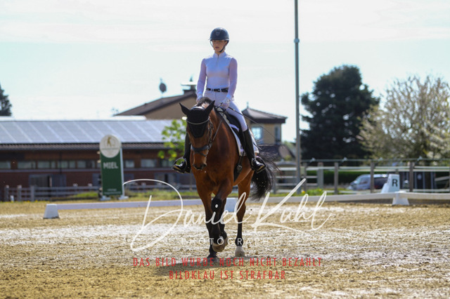 DKP40726 | Turniersportfotografie; Pferdefotografie; Dressurfotografie