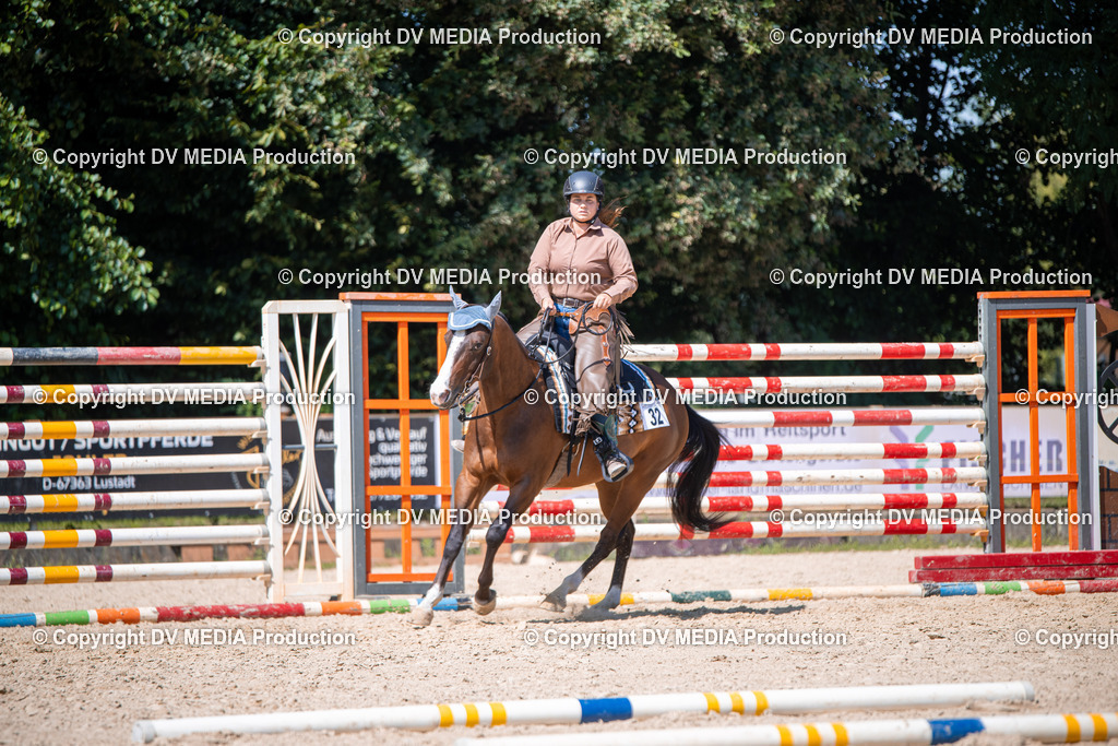 ZS1_1586 | dv-media-shop - Realisiert mit Pictrs.com