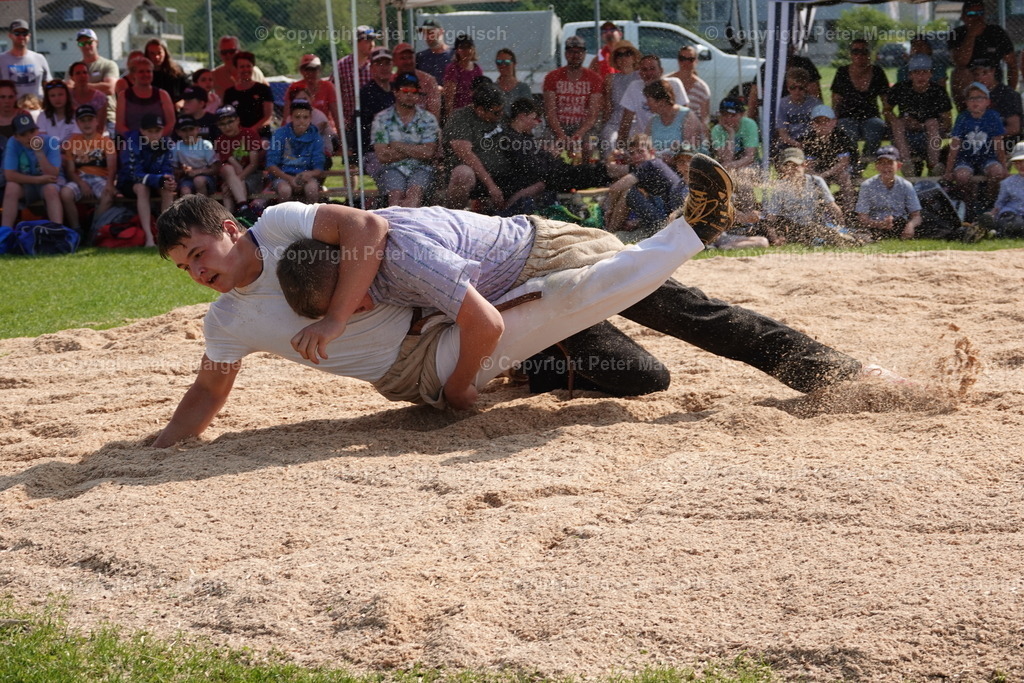 DSC04398 | Schwingen - Realisiert mit Pictrs.com